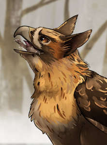 Bird of Prey by Lemondeer