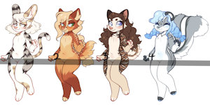 Adopt Auction:Closed by Clara