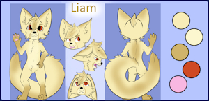 Liam Reference Sheet by LittleLiam