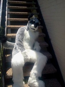 just chillen outside by blackwolf69692004