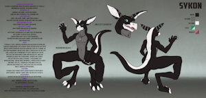Newer Reference Sheet by NordicSkunk