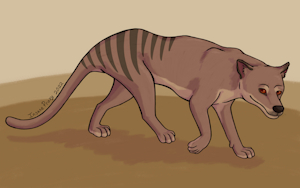 Thylacine by InsaneProxy
