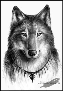 Wolf portrait by RedIzaK