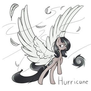 Hurricane OC by GTSdev