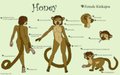Honey by honeypup