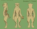 Sabre T. Tiger ref sheet by Sabrettiger