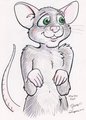 Sketch of Rattus [by Jenner] by MarkoTheRat