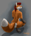 Fox Female Color by Moonstalker