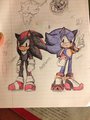 Sonic and Shadow switch role by AngelofHapiness
