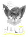 I be pretty OwO by Halo