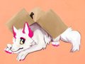 Fox Box by Kaiot