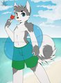 Time to go to the Beach!!! by RykaHuskypup