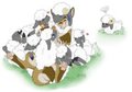 Sheep harem by Shyne