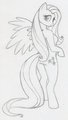 Fluttershy anthro sketch by DAQ