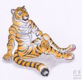 I'm back with a tiger XD by Rahir