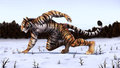 Snow Tiger by DreamAndNightmare