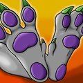 Dragonslover paw icon by Boscoe