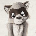 A raccoon personality by pandapaco