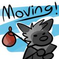 Moving accounts by TheCrookedFox