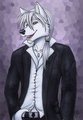 Handsome Wolf by DestinyWolf