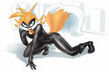 Tails in chat Noir outfit by Sparkydb