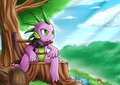 [Side Art] Spike The Gem Hunter by vavacung
