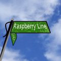 Raspberry Line Chapter 3 - Butterflies