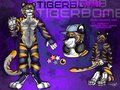 Comission: Tigerbombf by Electrocat