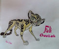 Fuli the Cheetah by Kovi1850