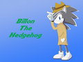 :COM: Billon The Hedgehog by Sonicth62