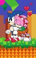 Sonic and Amy by Rokkan