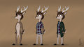 Bucky Roosa - Clothing Lineup Sheet by bullpoopsniperrifle