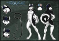 Trake CS by Soulscape