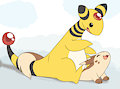 Ampharos and Furret - Sit Tight by Afterglow