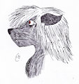 Yiharbin the Wolf (Colorized) by yiharbin