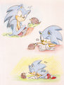 Sonic meets the hedgehog by EsbelleXD