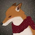 Winter Fox by Nonfinite