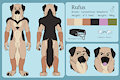 Rufus Anthro ref by Rufus5