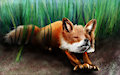 Cute fox kid by Shiku
