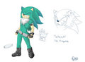 Contest entry Takeshi the hedgehog by HeartTsukikage