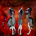 Cara Legach Reference Sheet Commission by Missaria