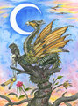 Quetzal Dragon by Schiraki