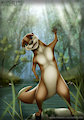 River Otter by MiloNettle