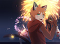 #7 Fireworks by Nekojita