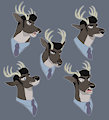 Expression Sheet - Lawrence by WindTide