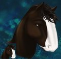 Hoss Avatar by Leafy