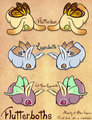 Flutterboth Reference Sheet by CyanideDrop