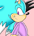 Kevin the hedgehog (Sonic Adventure version) by Kevster823
