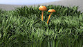 Mashrooms, grass land and other foliage by gdane1981
