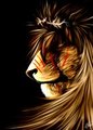 Lion of J U D A H by Nameria